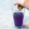 Butterfly Blue Pea Flowers - Image 2