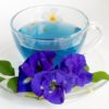 Butterfly Blue Pea Flowers - Image 3