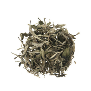 Silver Moonlight Wild White